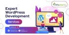 Expert WordPress Development Services | Info Stans