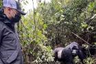 Gorillas & Wildlife Safaris Uganda Rwanda
