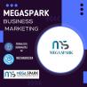 Mega Spark is among the best digital market companies in India.