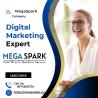 Mega Spark Leading the Way as India's Best Digital Marketing Company