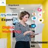 Mega Spark: Safdarjung Enclave's Premier Digital Marketing Experts