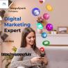 Mega Spark: The Premier Digital Marketing Agency in Netaji Nagar