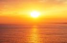 Peace & Relaxation: Calming Videos for Serenity