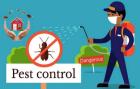 Pest control in pune
