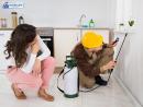 Reliable Termite Treatment in San Diego - Call for Free Quote