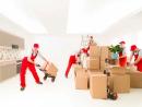 Relocate Stress-Free with Expert Packers and Movers!