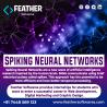 Spiking Neural Networks