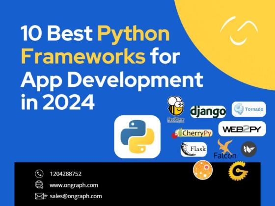 10 Best Python Frameworks for App Development in 2024