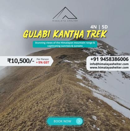 Book Gulabi Kantha Trek package with Himalaya Shelter