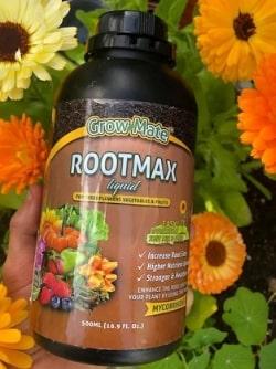 Affordable Mycorrhizae Liquid | Wholesale Price