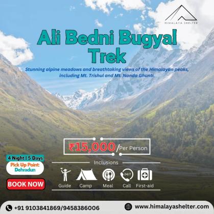 Ali Bedni Bugyal Trek: A Journey into the Heart of the Himalayas with Himalaya Shelter