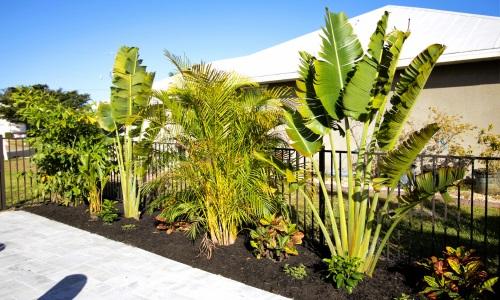Beltran's Nursery & Landscape in Punta Gorda