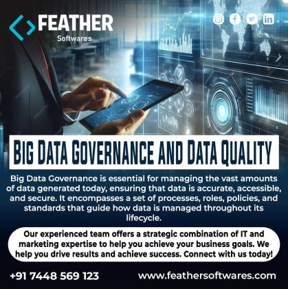 Big Data Governance and Data Quality