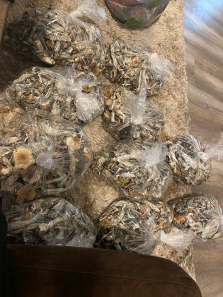 Buy Mushroom / Shrooms / premium psychedelic
