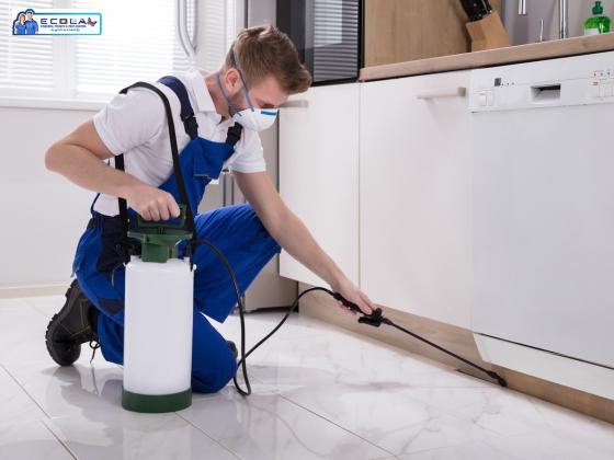 Top Pest Control Companies in My Area - Safe & Effective Solutions