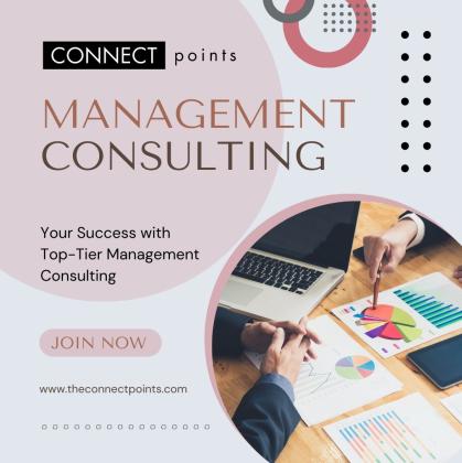 Comprehensive Marketing and Consulting Services - The Connect Points
