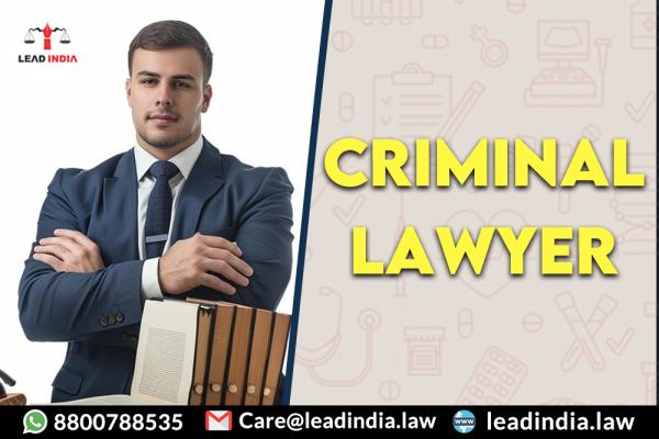 criminal lawyer