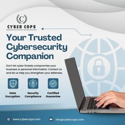 cyber security management services | cyber security audit | cybercops