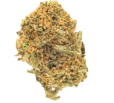 Discover a Variety of Cann*abis Strains at Mediseed Man
