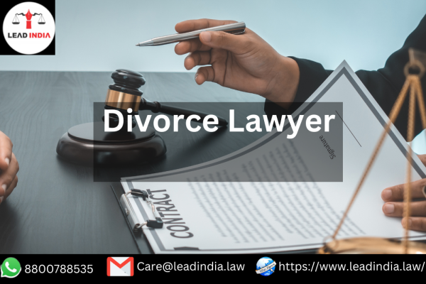 divorce lawyer