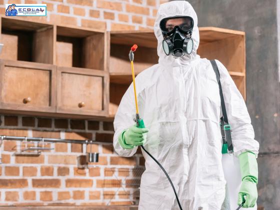 Eco-Friendly Orange Oil for Termite Treatment - Ecola Termite