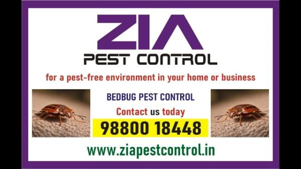 Effective Bedbug Service Treatment  | Rat Control | Zia Pest Control  | 1978