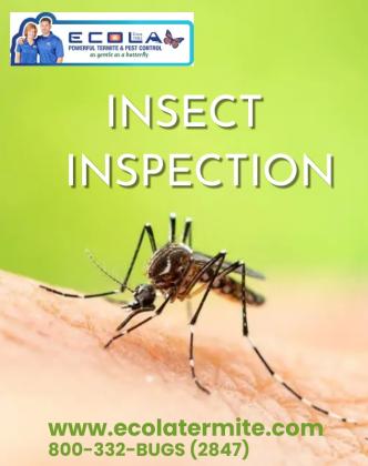 Expert Insect Inspection: Protect Your Home from Unwanted Pests Today!