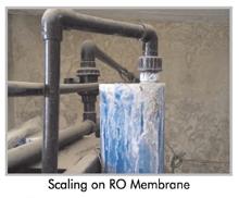 Fluid Dynamics – Minitron, Pooltron, Magcat, Scaletron, Limetron, Minitron, Colloid A tron, Water softener, water conditioner for hard water.