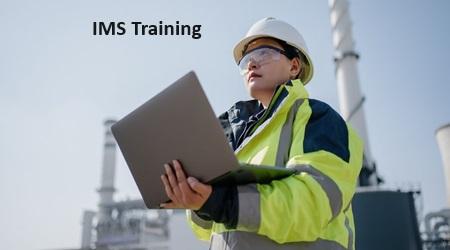 IMS Auditor Training Online Courses