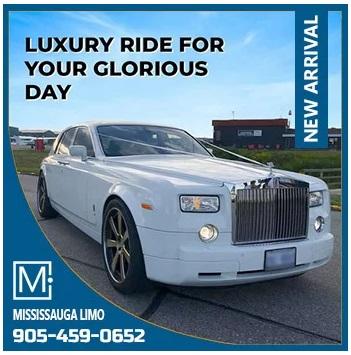 Mississauga Party Bus