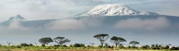 Namiri Plains Camp: A Honeymoon Safari Oasis