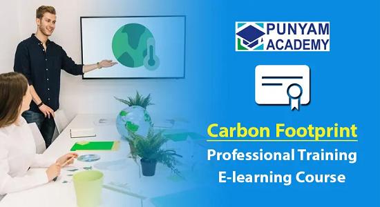 Online Carbon Footprint and Net Zero Strategies Implementer Training