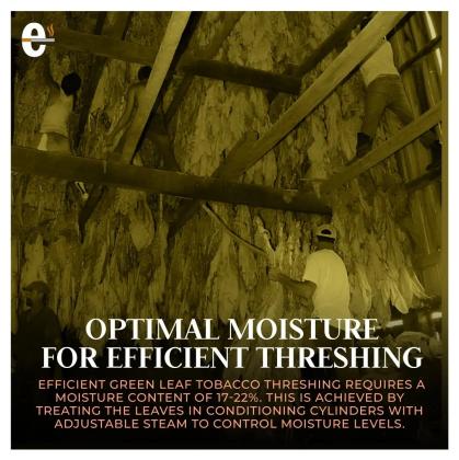 Optimal Moisture For Efficent Threshing