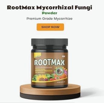 Order Mycorrhizae Powder Online – Safe for All Crops & Gardens!
