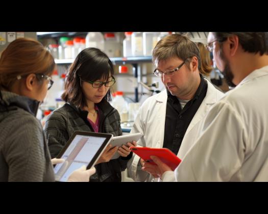 Overseas Pharmacist Readiness Assessment