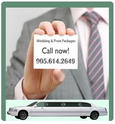 Party Bus Rental Hamilton