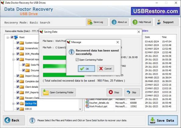 Pen Drive Data Recovery Software