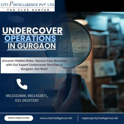 Professional Undercover Services in Gurgaon- City Inteligence