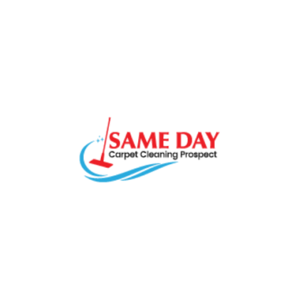 Same Day Carpet Cleaning Prospect