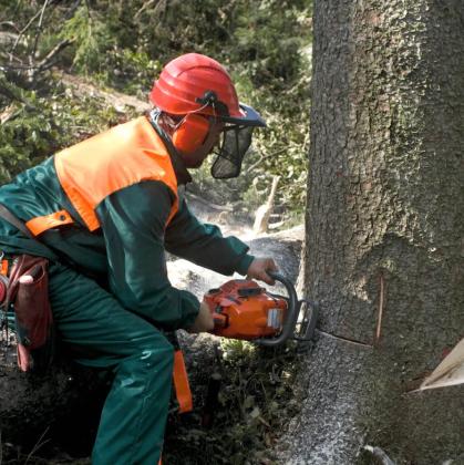 Simon’s La Vergne​ ​Tree Service