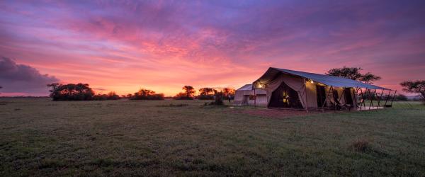 Tanzania Safari Packages for You