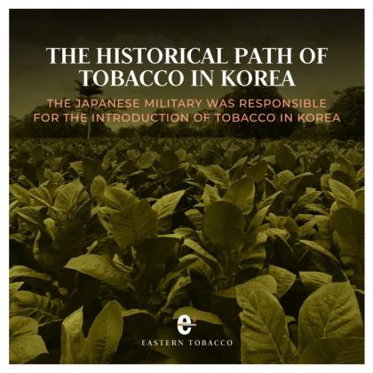 The Historical Path Of Tobacco In Koerea