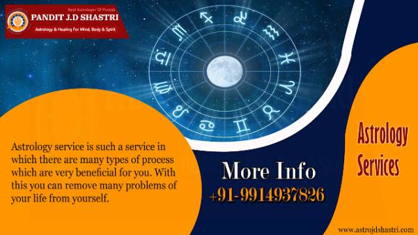 Top 1 Astrologers in Punjab 2024
