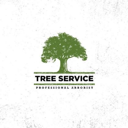 Tree Service Company Austin