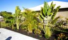 Beltran's Nursery & Landscape in Punta Gorda