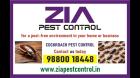 Cockroach service treatment Rs. 999/- only | Zia pest control | AMC is available | 1978