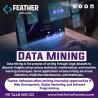 Data Mining / Data Scraping process
