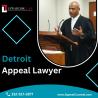 Detroit Appeal Lawyer | Appeal Counsel Chicago