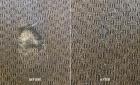 DeVere Carpet And Leather: Carpet Repair Sunshine Coast Experts