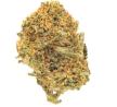 Discover a Variety of Cann*abis Strains at Mediseed Man